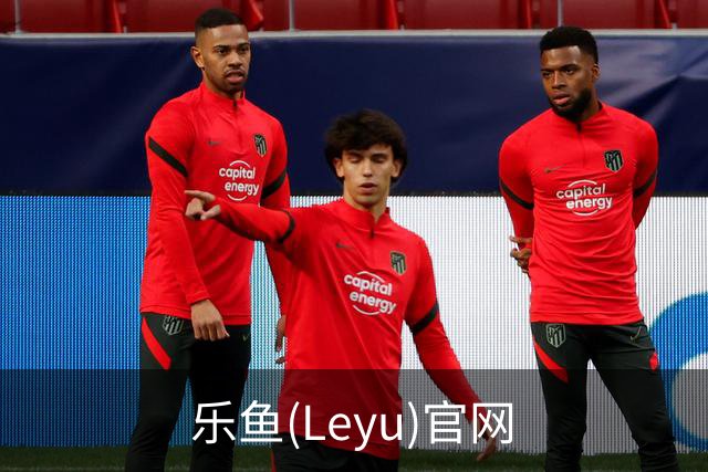 乐鱼(Leyu)官网公司简介图片